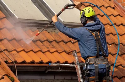Démoussage et hydrofuge de toiture à Curzon